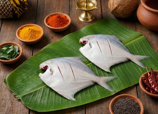 White Pomfret / Chanduva / చందువా